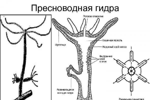 Кракен наркота что это