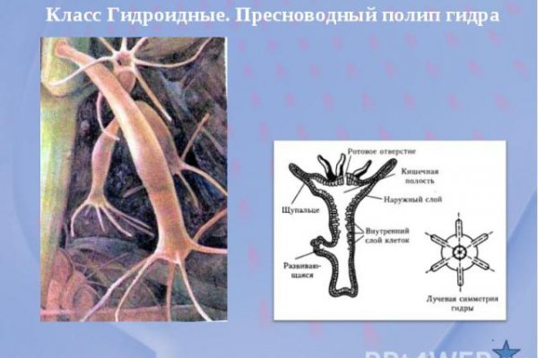 Магазин кракен даркнет сайт