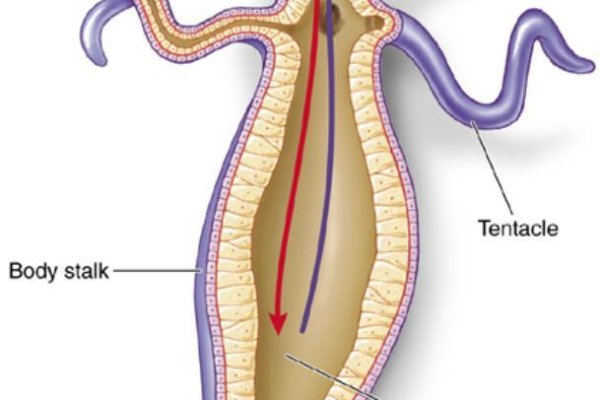 Кракен вход ссылка